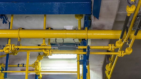 High-pressure ethylene and comonomer gas